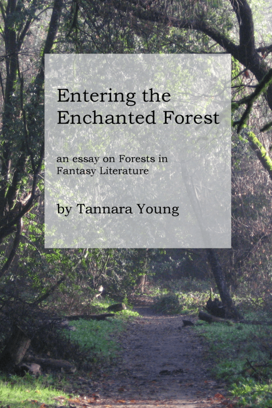Entering the Enchanted Forest