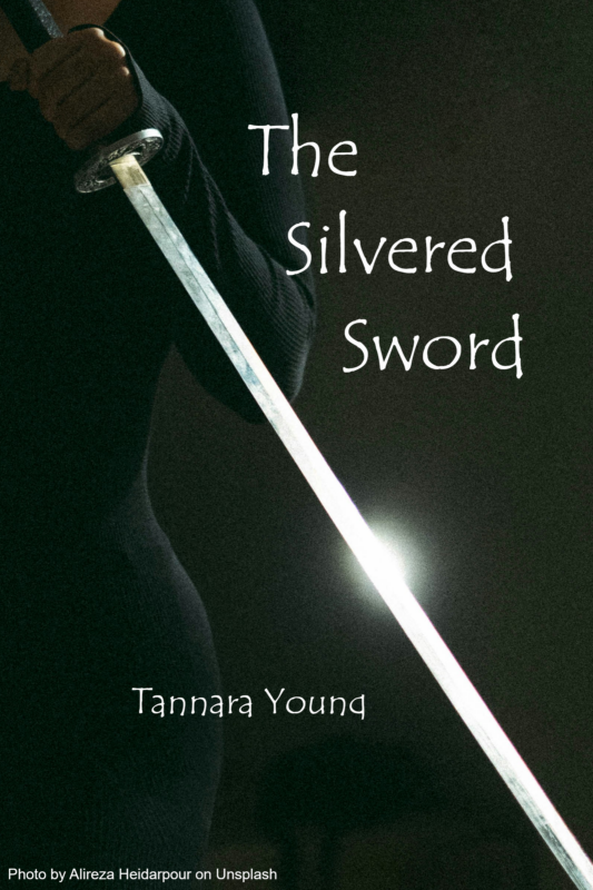 The Silvered Sword